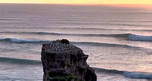 新西兰南岛风景