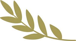 橄榄枝装饰图案