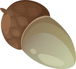 卡通风格橡果形象展示