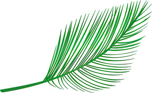 绿色棕榈叶植物素材