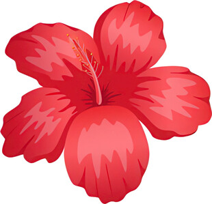 鲜艳红色扶桑花插画