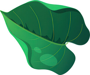 绿色卡通叶片插画