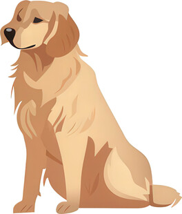 坐着的金毛犬