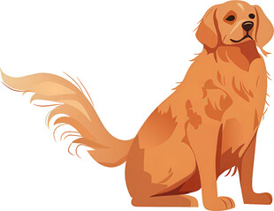 坐着的金毛犬