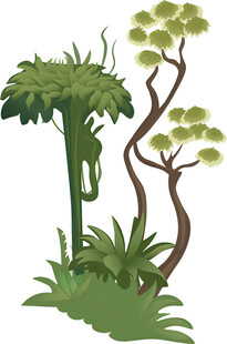 丛林植物景观插画