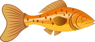 橙色斑点鱼插画