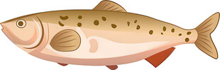卡通风格的鲑鱼形象