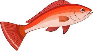 红色卡通鱼形象展示