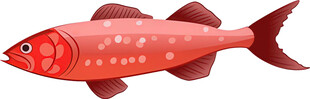 红色斑点鱼插画