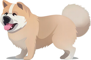 可爱站立柴犬插画