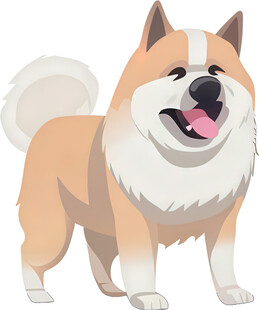 可爱站立秋田犬