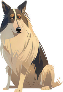 坐着的三色长毛牧羊犬