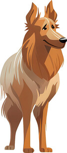 站立的长毛牧羊犬