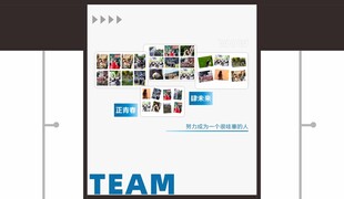 团队 活动掠影 照片墙