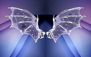 透明梦幻蝙蝠翅膀图案