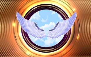 梦幻羽翼环绕的奇幻之窗