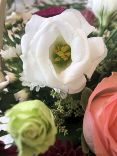 玫瑰花