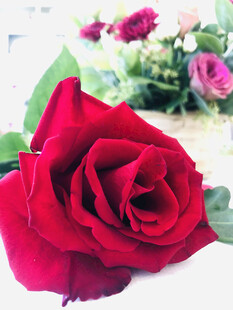 玫瑰花