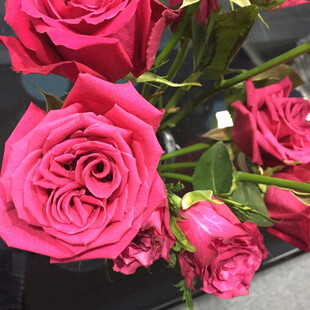 玫瑰花