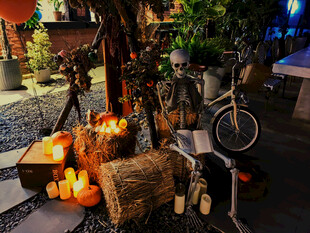 万圣节庭院装饰场景