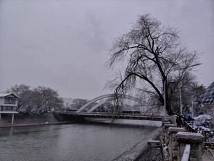 冬日河畔孤树雪景合肥步行街