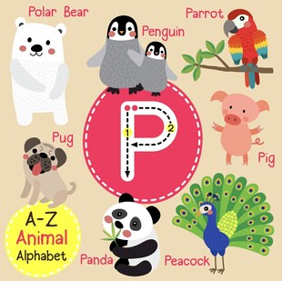 字母P相关的可爱动物们