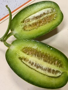 甜瓜