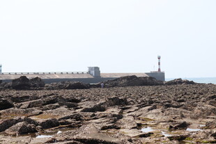 海边岩石与远处建筑景观