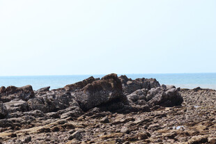 海边嶙峋礁石景观