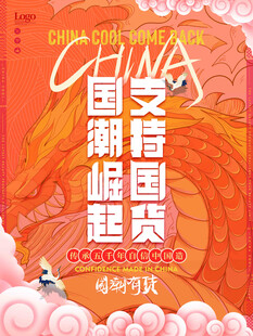 国潮崛起 支持国货海报