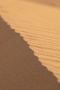 沙漠