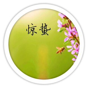 惊蛰时节春意浓