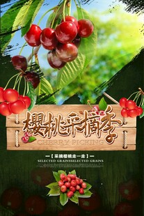 樱桃海报