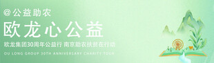 车贴