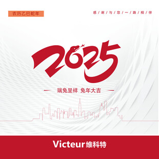 2025年主题宣传海报设计