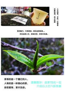 古树茶 冰岛 普洱茶 
