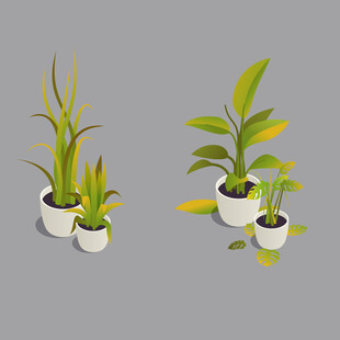 盆栽植物组合