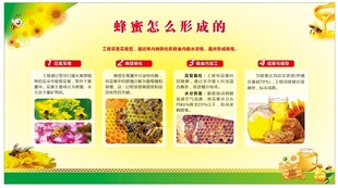 蜂蜜养生功效介绍