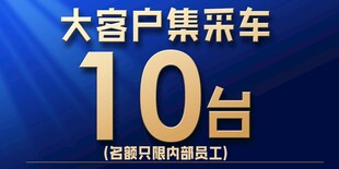 蓝色立体高端车顶牌
