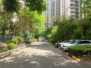 小区内绿树成荫的停车道