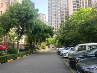 小区内的林荫停车道路