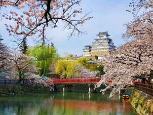 春日日本园林美景赏