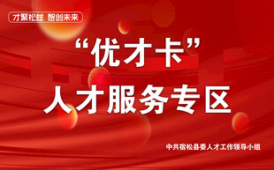 红色大气优才卡人才服务专区展示