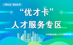 优才卡人才服务专区展示