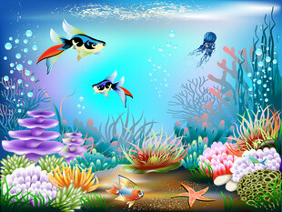 梦幻海底世界景观