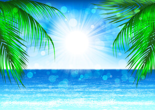 夏日海滨风光