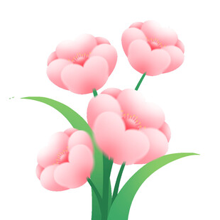 春季春天花朵植物