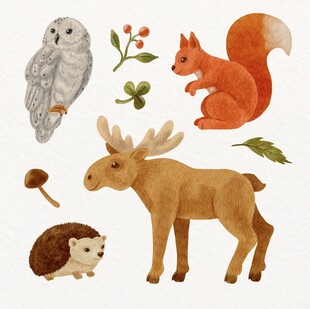 森林小动物插画集合