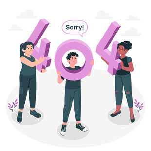 网络404