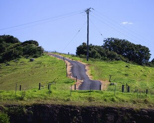 蜿蜒山路旁绿意盎然景色